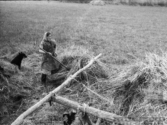 THM-BJ-04928 - Kajdacs, South Hungary, 1976 