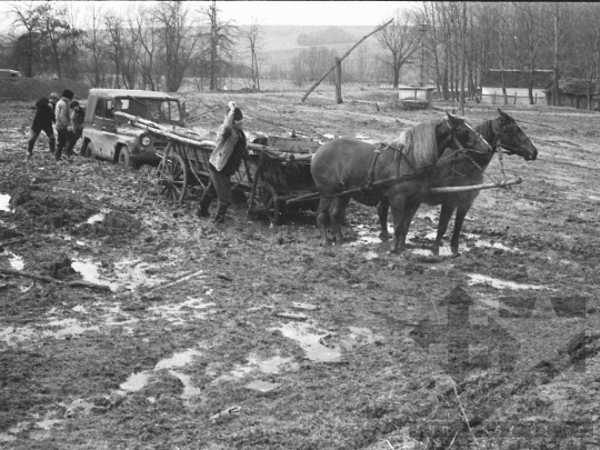 THM-BJ-04936 - Kakasd, South Hungary, 1976 