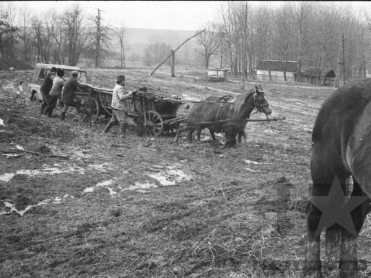 THM-BJ-04942 - Kakasd, South Hungary, 1976 