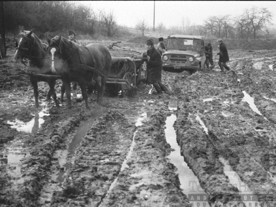 THM-BJ-04943 - Kakasd, South Hungary, 1976 