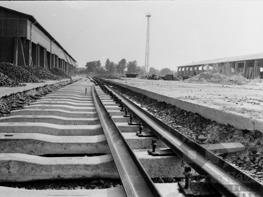 THM-BJ-05266 - Mözs, South Hungary, 1978