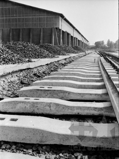 THM-BJ-05267 - Mözs, South Hungary, 1978