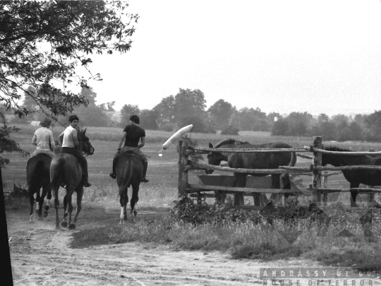 THM-BJ-05319 - Szedres, South Hungary, 1978