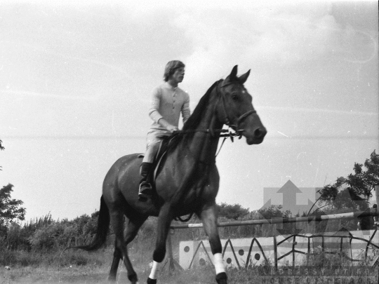 THM-BJ-05321 - Szedres, South Hungary, 1978