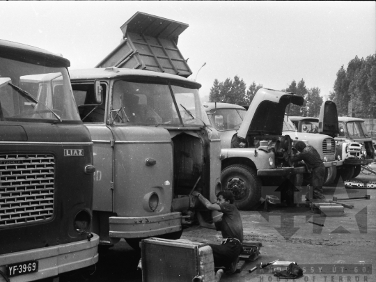 THM-BJ-05347 - Szekszárd, South Hungary, 1978