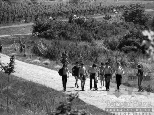 THM-BJ-05378 - Szekszárd, South Hungary, 1979