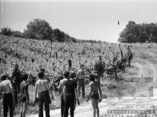 THM-BJ-05380 - Szekszárd, South Hungary, 1979