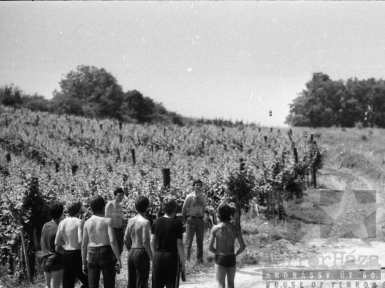 THM-BJ-05381 - Szekszárd, South Hungary, 1979