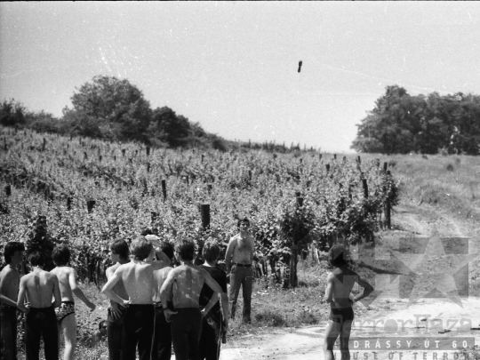 THM-BJ-05382 - Szekszárd, South Hungary, 1979