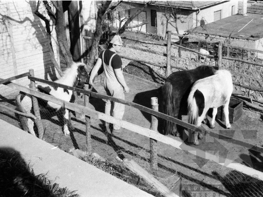 THM-BJ-05448 - Szekszárd, South Hungary, 1980 