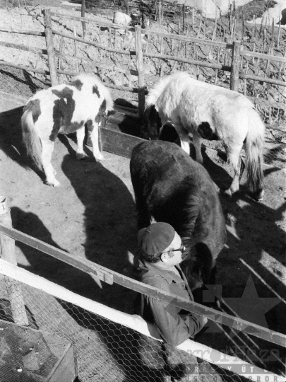 THM-BJ-05450 - Szekszárd, South Hungary, 1980 