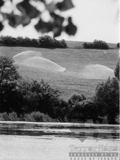 THM-BJ-05454 - Mözs, South Hungary, 1980 