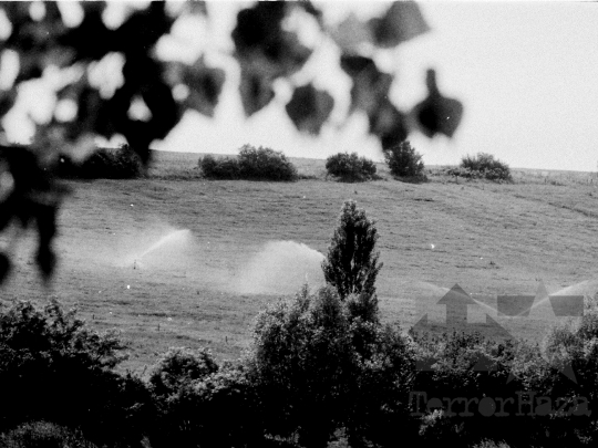 THM-BJ-05455 - Mözs, South Hungary, 1980 