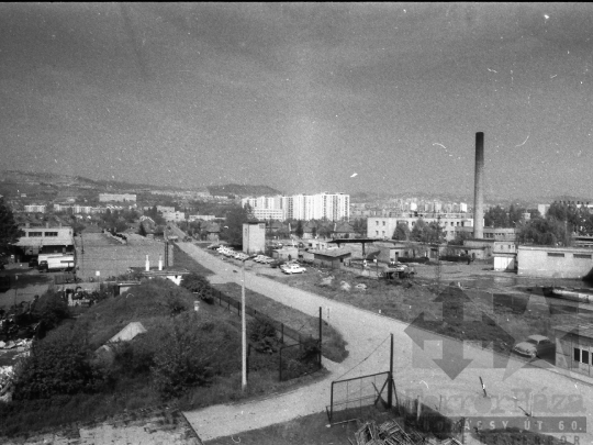 THM-BJ-05464 - Mözs, South Hungary, 1980