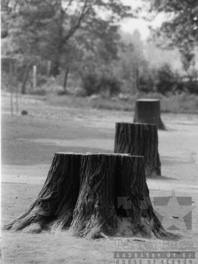 THM-BJ-05468 - Dombóvár, South Hungary, 1980