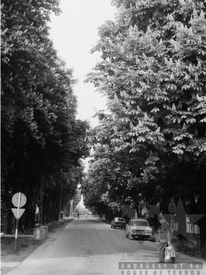 THM-BJ-05469 - Dombóvár, South Hungary, 1980