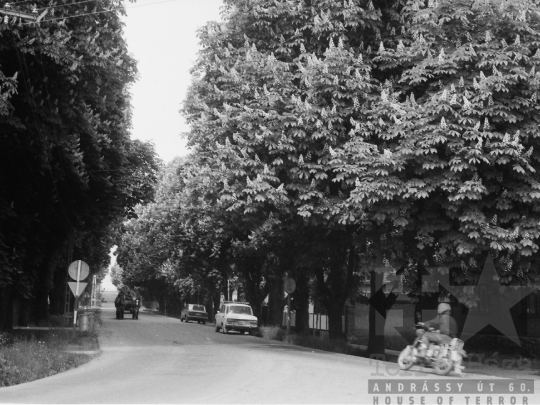 THM-BJ-05470 - Dombóvár, South Hungary, 1980