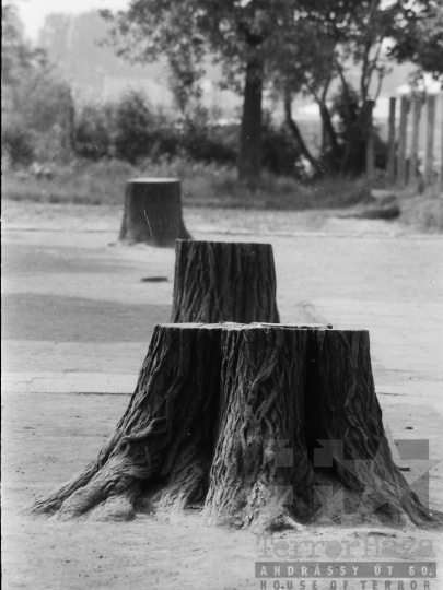 THM-BJ-05472 - Dombóvár, South Hungary, 1980