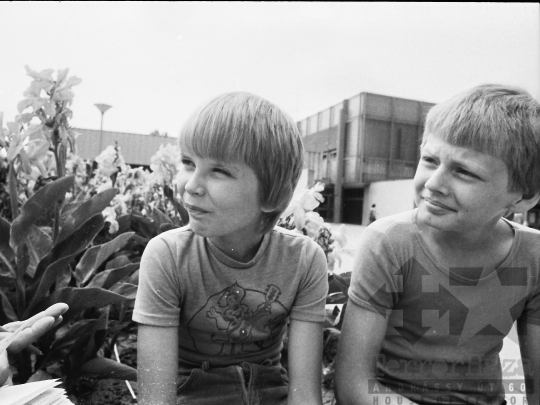 THM-BJ-05481 - Szekszárd, South Hungary, 1981