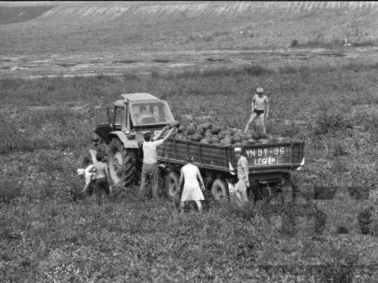 THM-BJ-05523 - Kajdacs, South Hungary, 1983