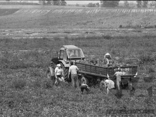 THM-BJ-05524 - Kajdacs, South Hungary, 1983