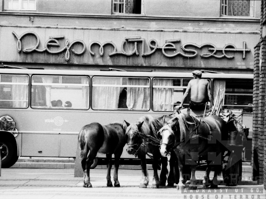 THM-BJ-05533 - Szekszárd, South Hungary, 1983