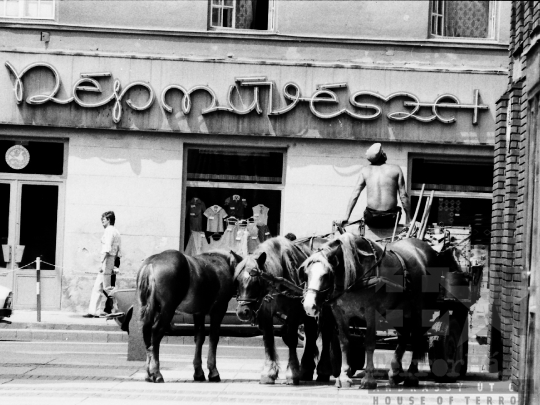 THM-BJ-05534 - Szekszárd, South Hungary, 1983