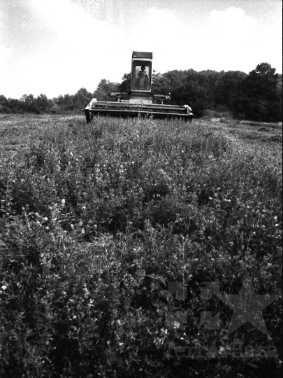 THM-BJ-05572 - Hőgyész, South Hungary, 1983