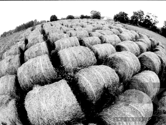 THM-BJ-05573 - Csibrák, South Hungary, 1983 