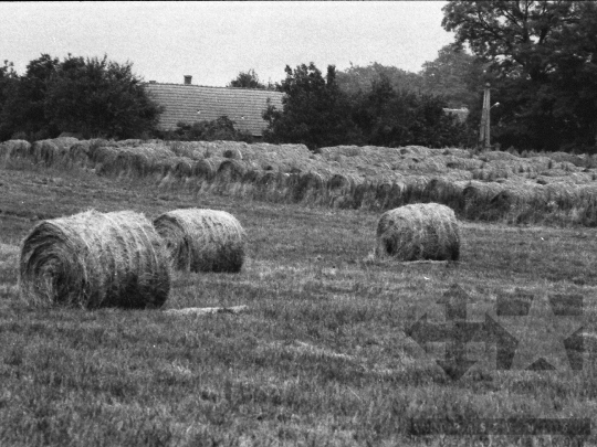 THM-BJ-05575 - Csibrák, South Hungary, 1983 