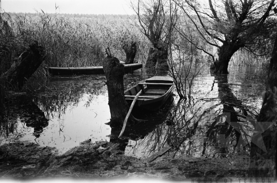 THM-BJ-05755 - Dombori, South Hungary, 1960 