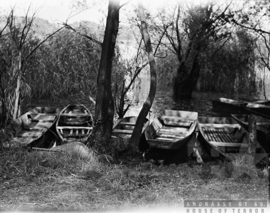 THM-BJ-05756 - Dombori, South Hungary, 1960 