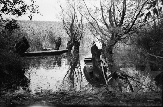 THM-BJ-05757 - Dombori, South Hungary, 1960 