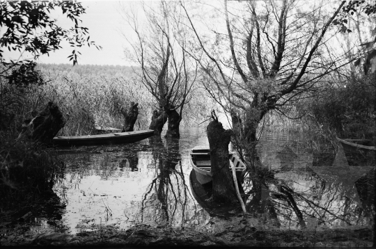 THM-BJ-05757a - Dombori, South Hungary, 1960 