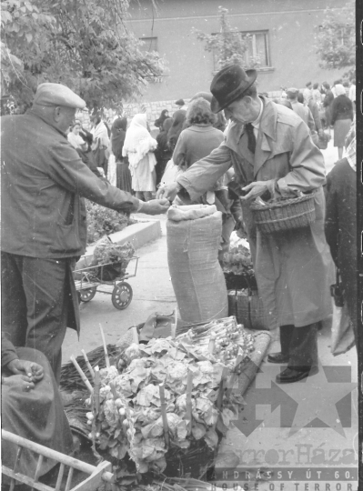 THM-BJ-05817 - Szekszárd, South Hungary, 1964