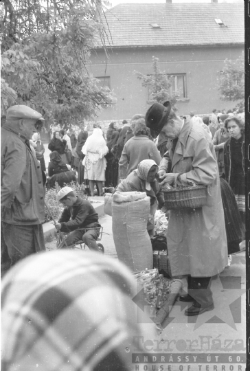 THM-BJ-05818 - Szekszárd, South Hungary, 1964