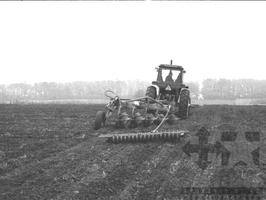 THM-BJ-05924 - Fadd, South Hungary, 1978 