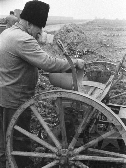 THM-BJ-05927 - Fadd, South Hungary, 1978 