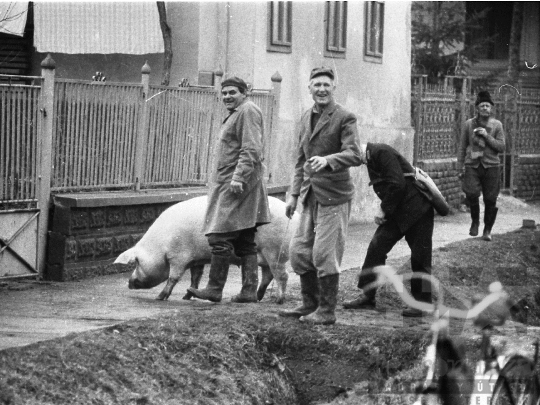 THM-BJ-05935 - Zomba, South Hungary, 1978