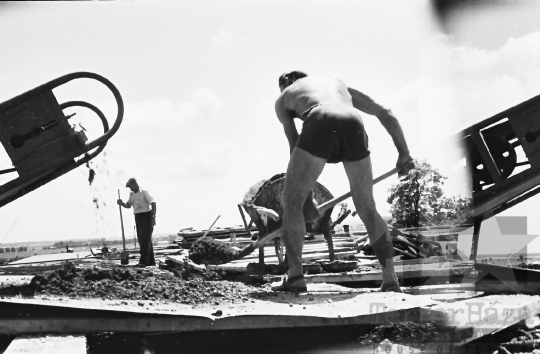 THM-BJ-05955 - Fadd-Dombori, South Hungary, 1965 