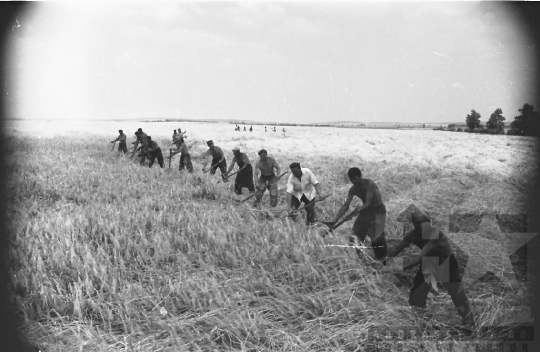 THM-BJ-05967 - Bölcske, South Hungary, 1965 