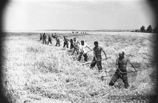 THM-BJ-05968 - Bölcske, South Hungary, 1965 