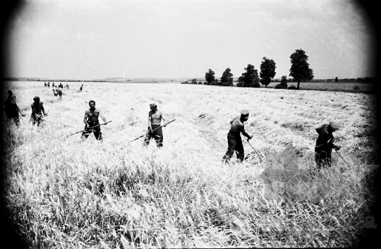 THM-BJ-05974 - Bölcske, South Hungary, 1965 