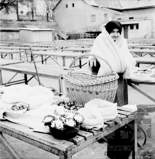 THM-BJ-06017 - Bátaszék, South Hungary, 1967