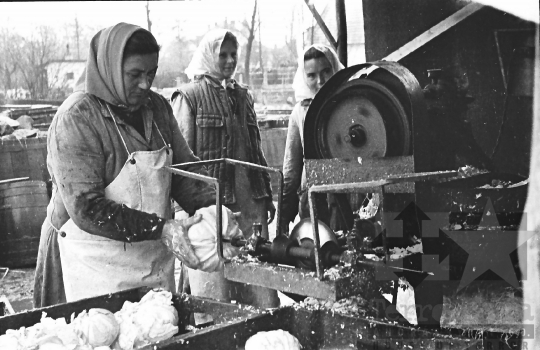 THM-BJ-06044 - Nagydorog, South Hungary, 1968