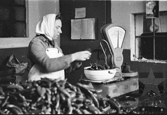 THM-BJ-06050 - Nagydorog, South Hungary, 1968