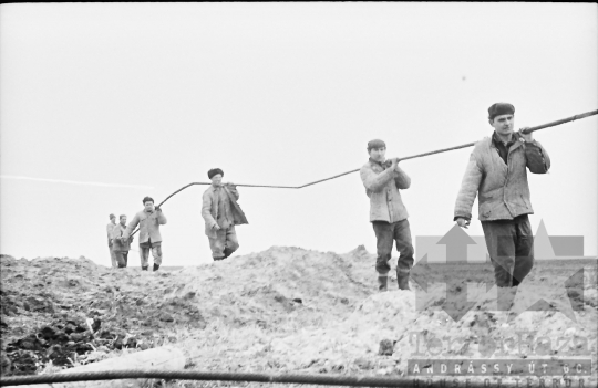 THM-BJ-06054 - Tolnanémedi, South Hungary, 1968