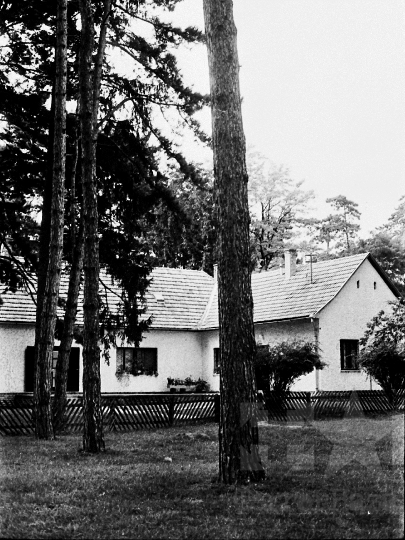 THM-BJ-06105 - Gyulaj, South Hungary, 1977