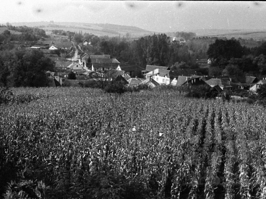 THM-BJ-06180 - Kisdorog, South Hungary, 1978 