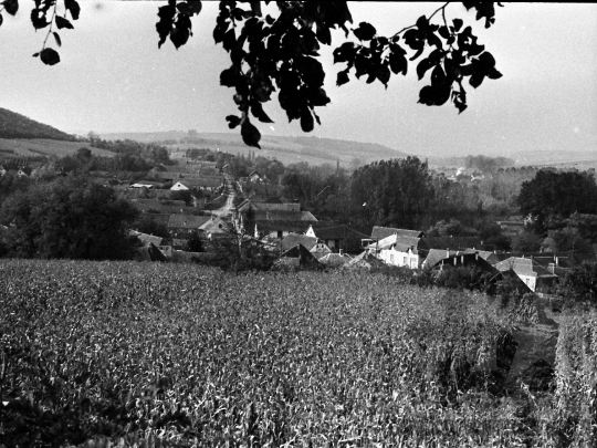 THM-BJ-06181 - Kisdorog, South Hungary, 1978 